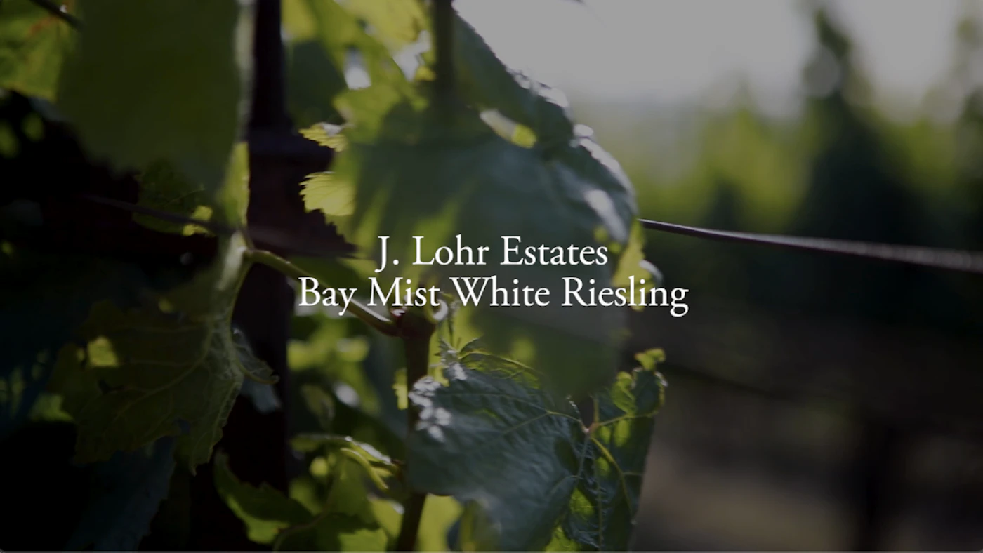 2019 Bay Mist White Riesling | J. Lohr
